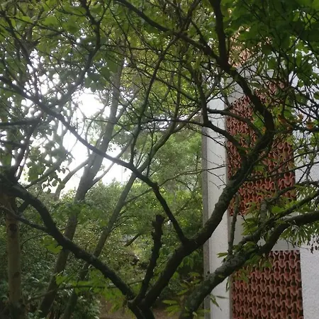 Apartamento Vue Imprenable Sur La Cite Medievale : 6 Couchages.